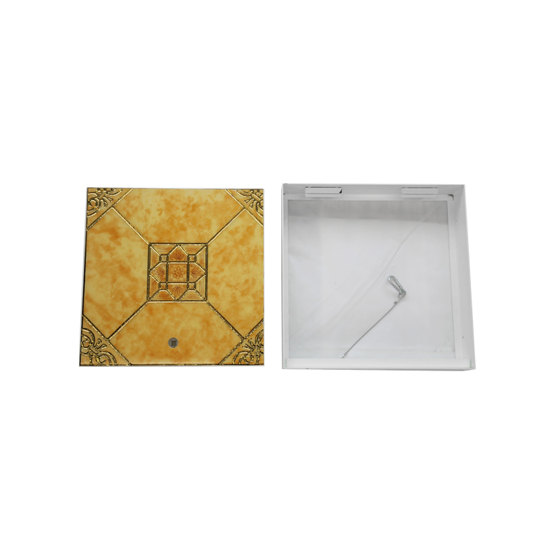 Bảng điều khiển truy cập gốm SS-AP510 không có gốm Bảng điều khiển truy cập gốm SS-AP510 không có gốm
